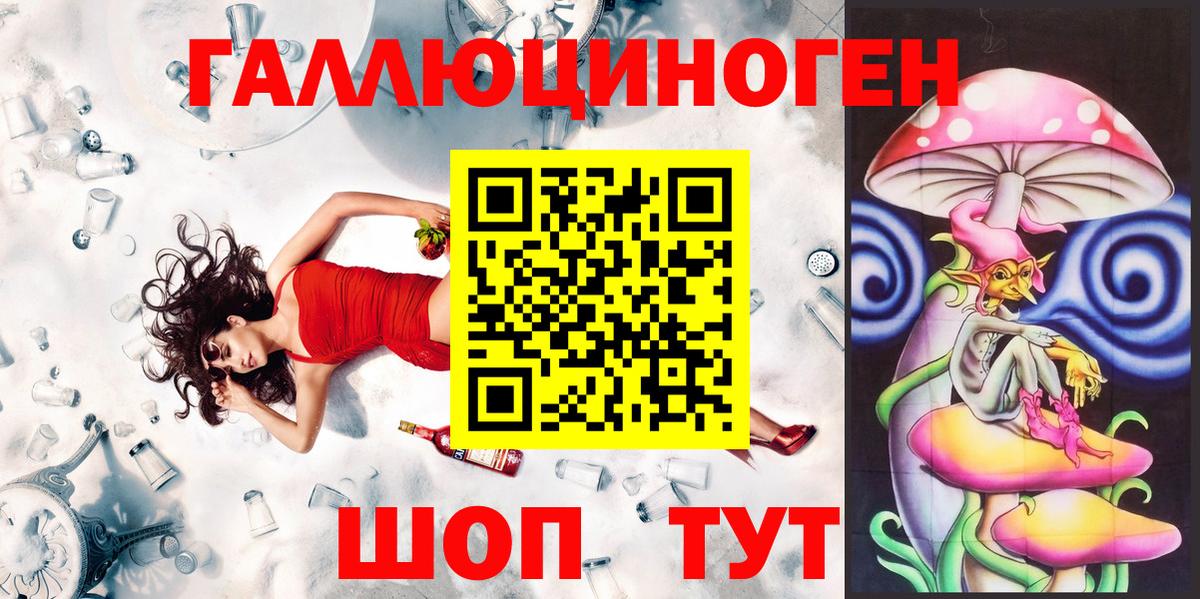 Псилоцибиновые грибы Cubensis  Вход с VPN  Нальчик 